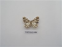 藏品(尺蛾143)的圖片